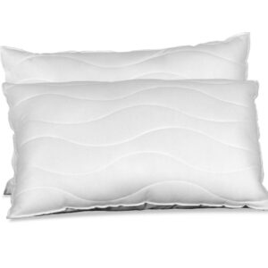 Super Support Pillows 2-Pack